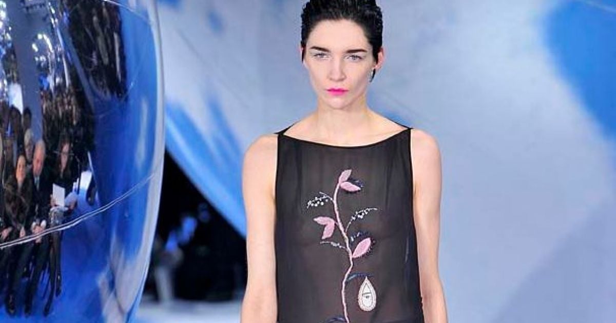 Christian Dior створив елегантну  мінімалістичну колекцію