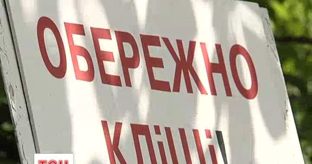 На українців накинулися зголоднілі кліщі