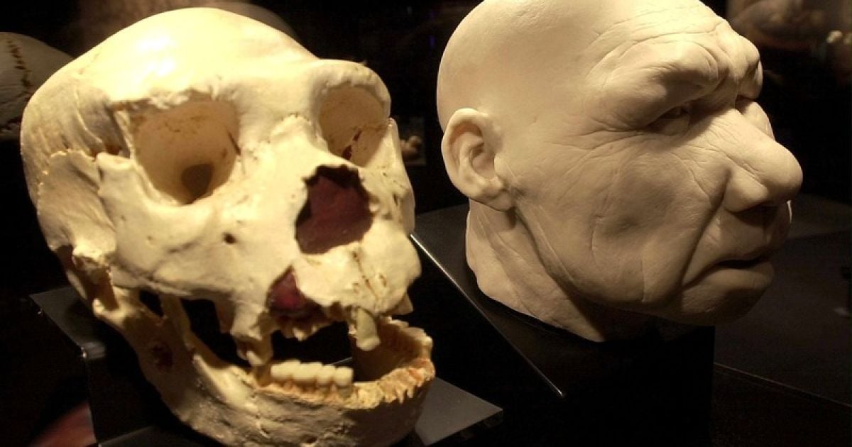 Вчені пояснили, що люди почали ходити на двох ногах через скелі.