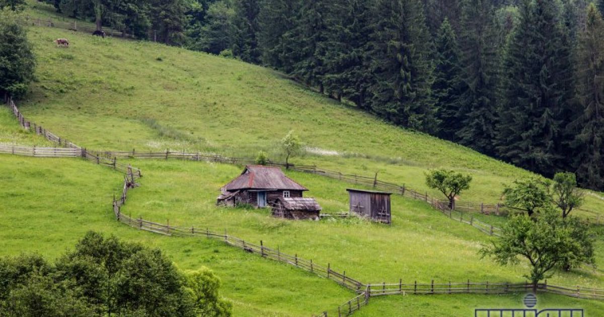 8% українців проведуть свою відпустку у Карпатах / © УНІАН
