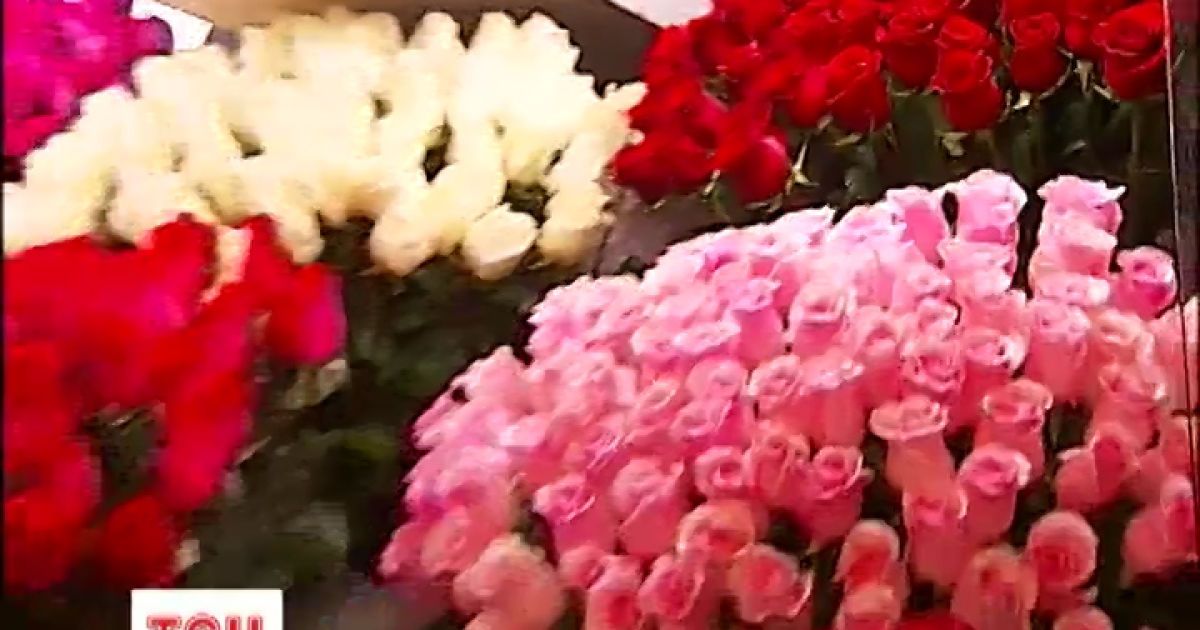 Найдешевша троянда в Києві коштує 25 грн