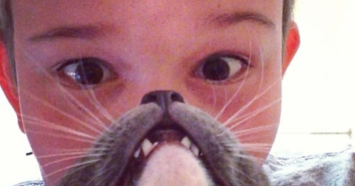 Котобороди - нове віяння в інтернеті / © Instagram