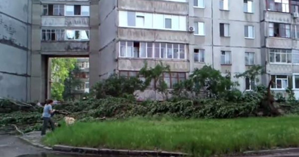 Після буревію були повалені сотня дерев