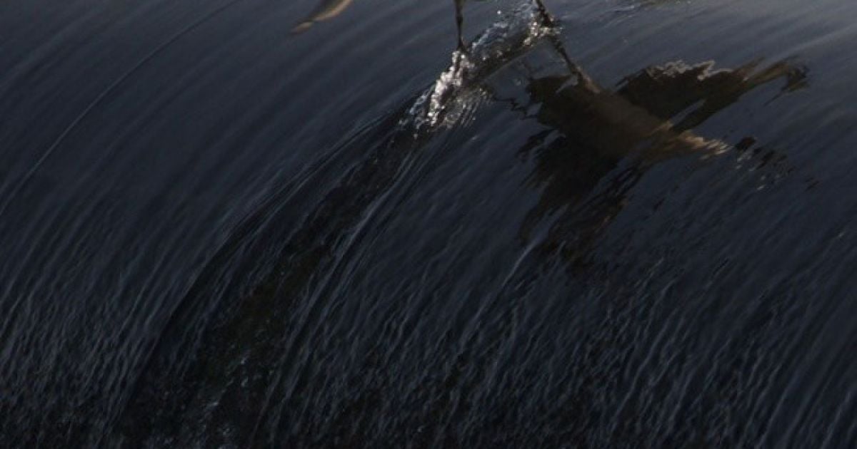 Найкращі фото першої половини 2013 року / © bigpicture.ru