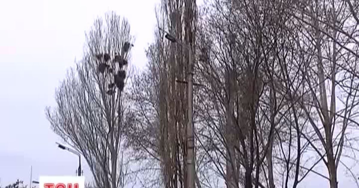 У Криму оголосили штормове попередження