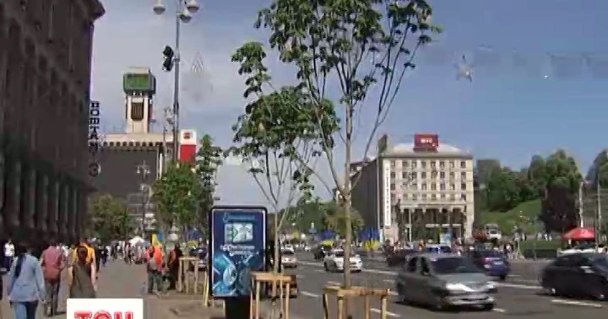 Каштани на Хрещатику розцвіли і "видали" махінації київської влади