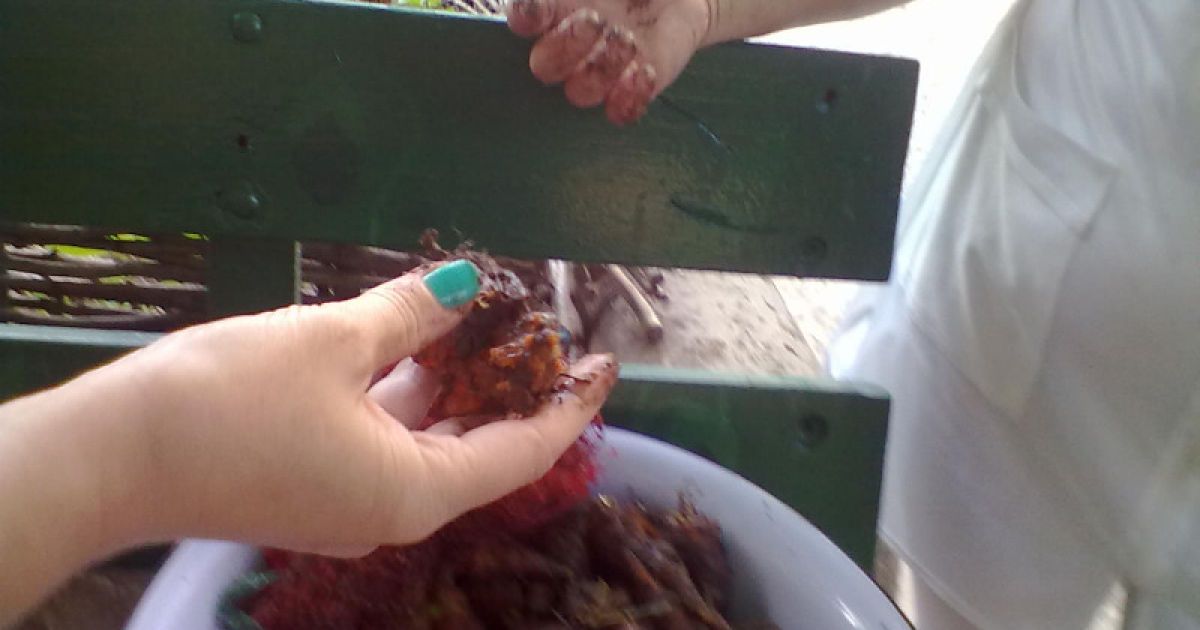 Батьки знайшли на кухні дитсадка гнилу моркву