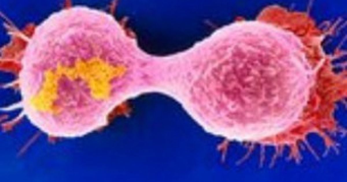 У високих жінок знайшли підвищений ризик розвитку раку