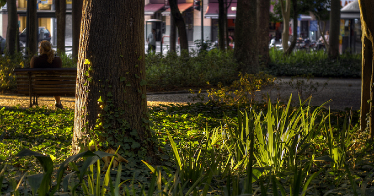 Завтра в Києві обіцяють температуру повітря до +18