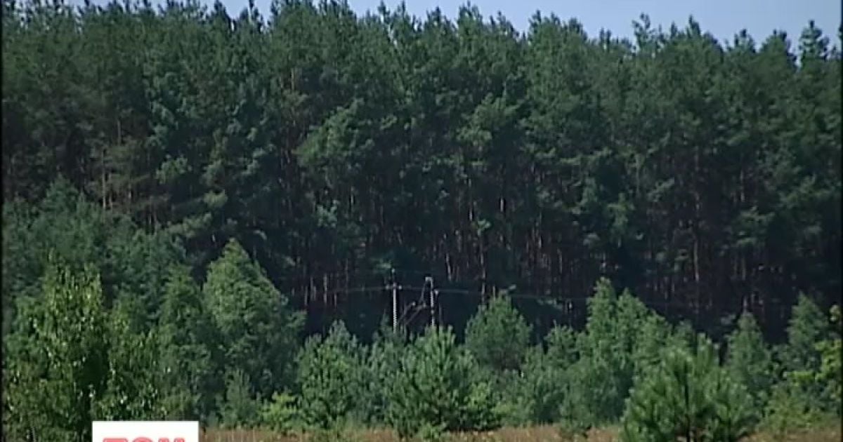 В Україну йде сильна спека