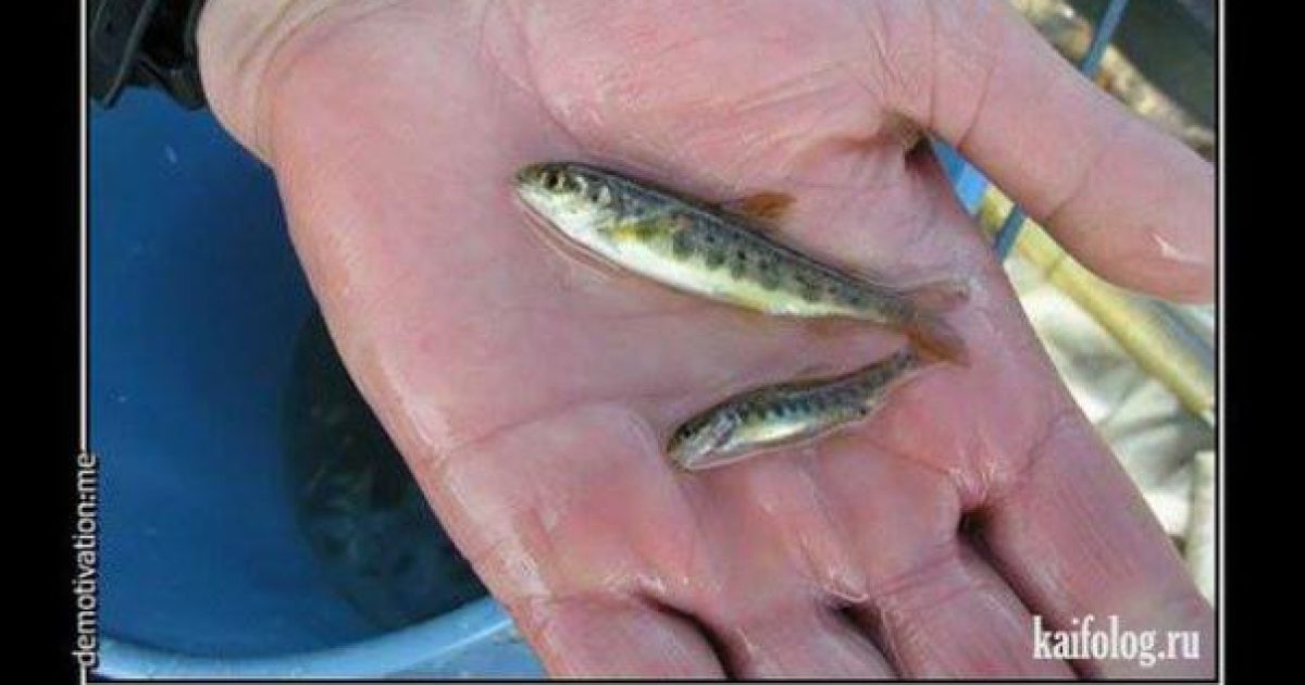 Фотожаби на риболовлю Путіна і Лукашенка