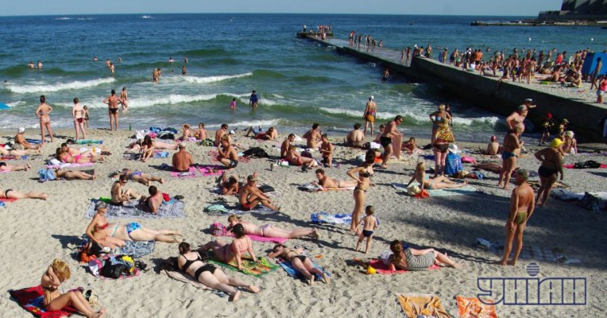 Медузи окупували Чорне море