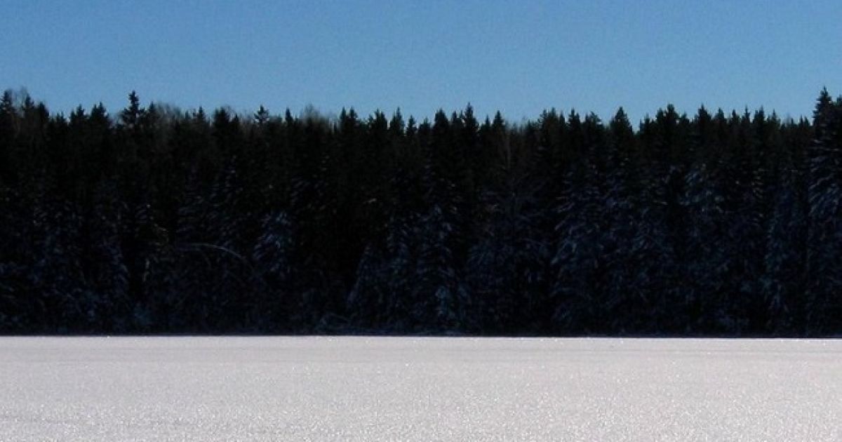 Естонія / © adme.ru