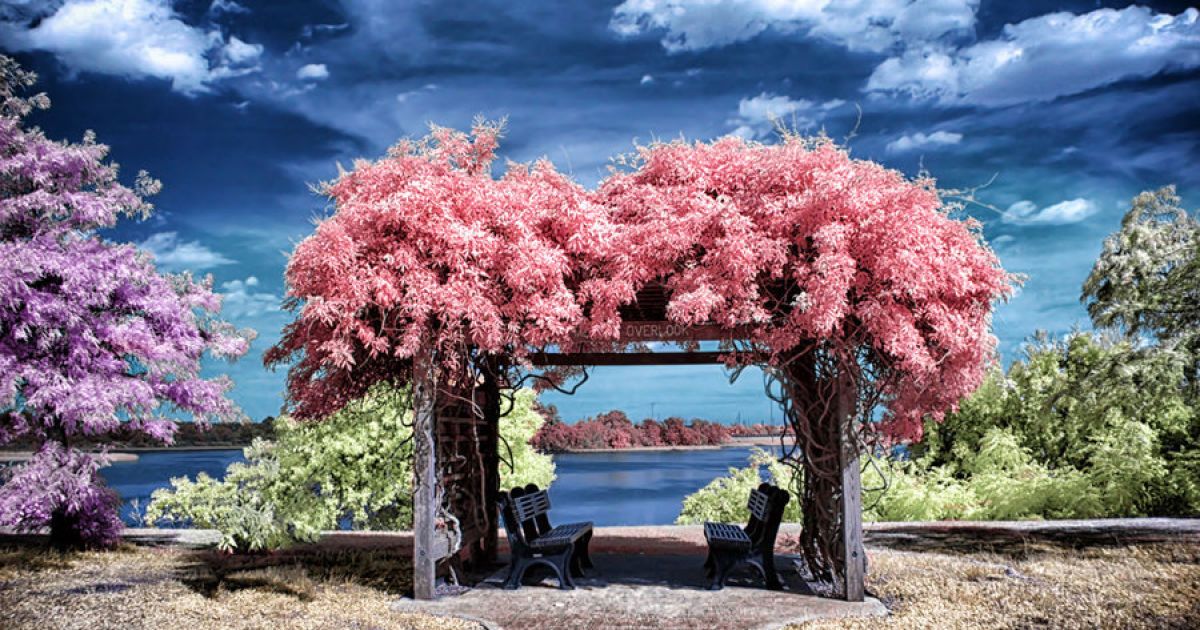 Завдяки інфрачервоному спектру фотограф робить світ ірреальним