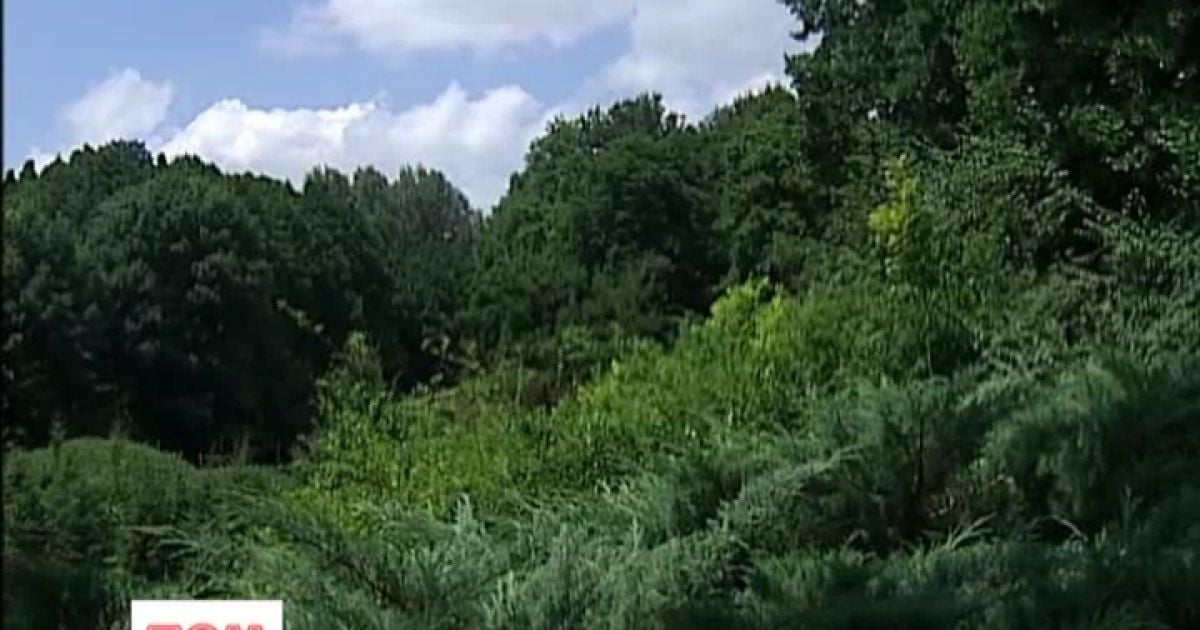 В Умані частину заповідника передали у приватні руки