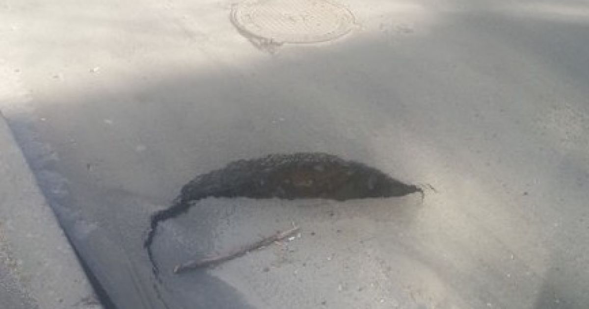 В Києві "рвуться" дороги біля метро "Васильківська"