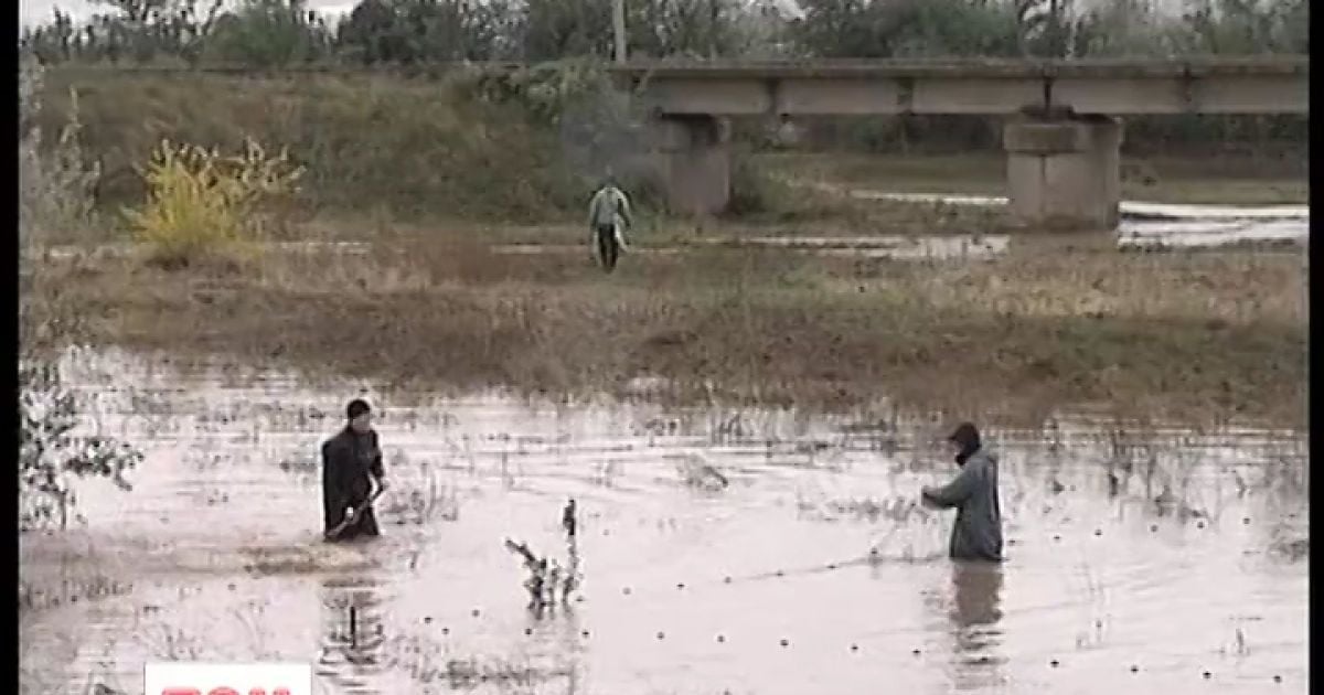 Людям пообіцяли до кінця року дати житло - у гуртожитку