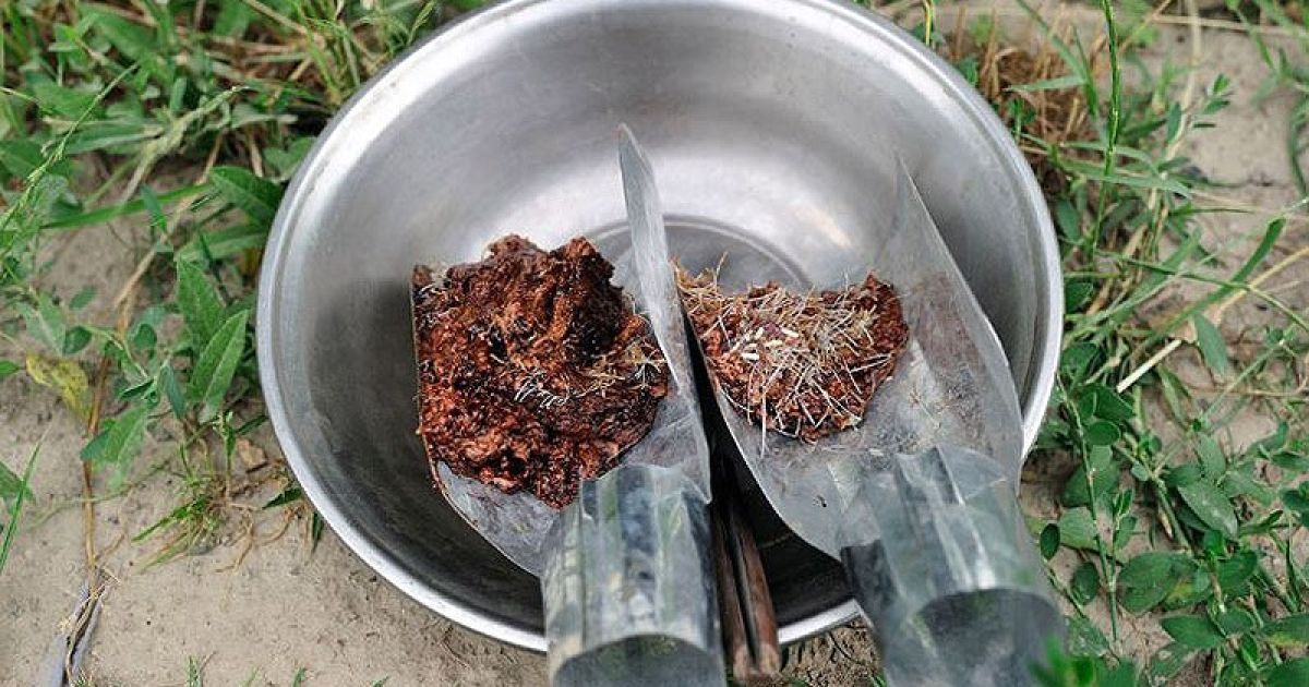 Афганські діти масово стають наркоманами і наркодилерами / © fototelegraf.ru