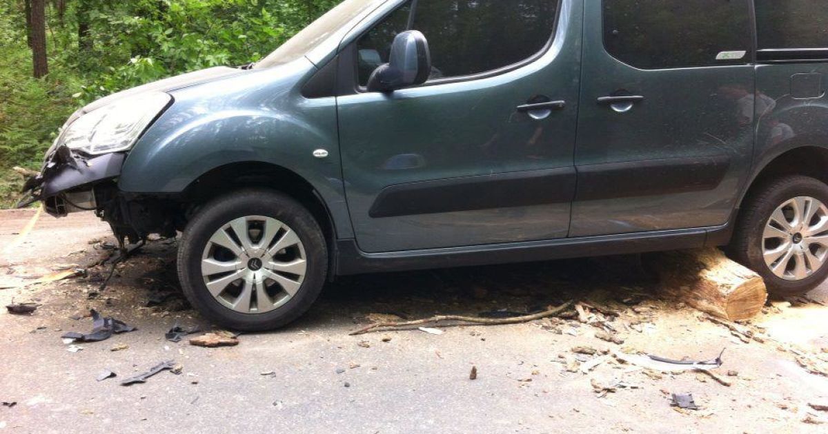 Під Києвом сосна "влучила" у два авто, що рухалися / © EUMETSTAT