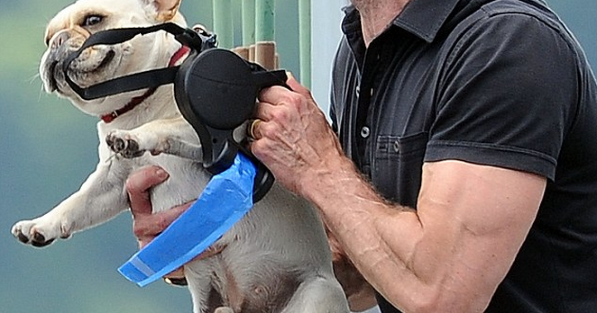 Х'ю Джекман прогулявся парком разом з родиною