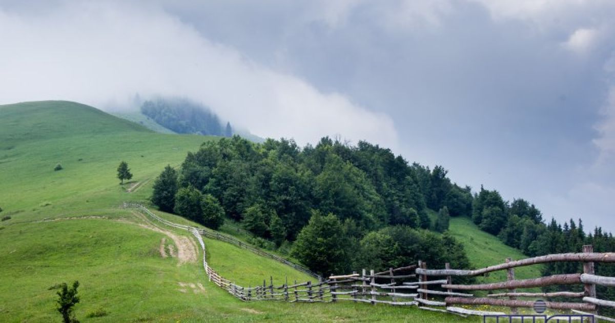 8% українців проведуть свою відпустку у Карпатах / © УНІАН
