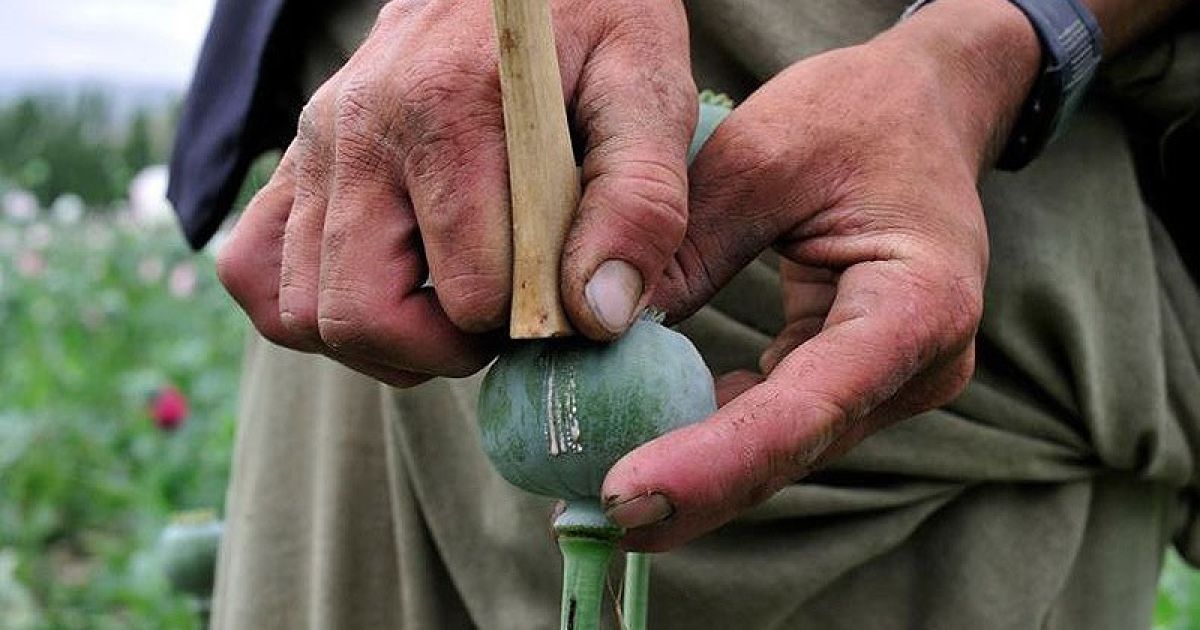 Афганські діти масово стають наркоманами і наркодилерами / © fototelegraf.ru