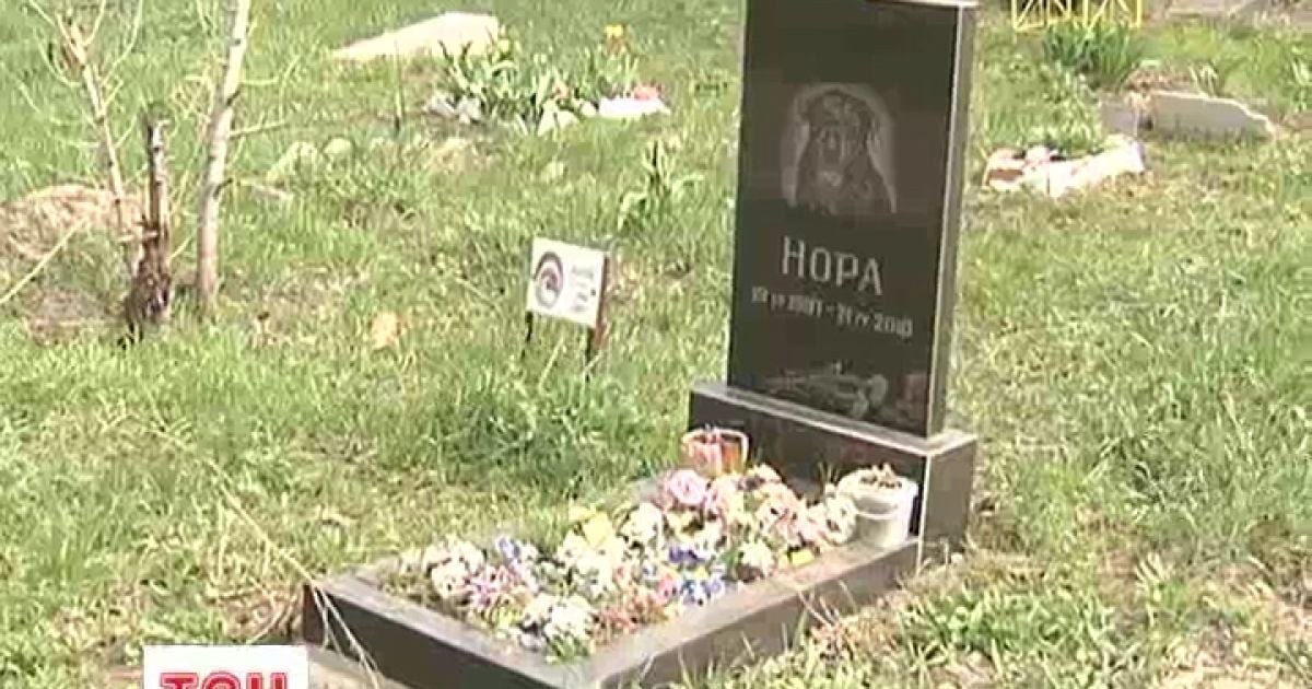 Кияни можуть втратити найбільше кладовище для тварин
