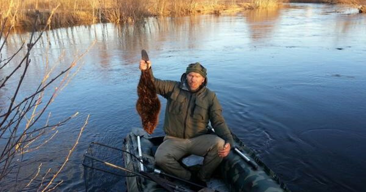 Валуєв законно вбив тварин