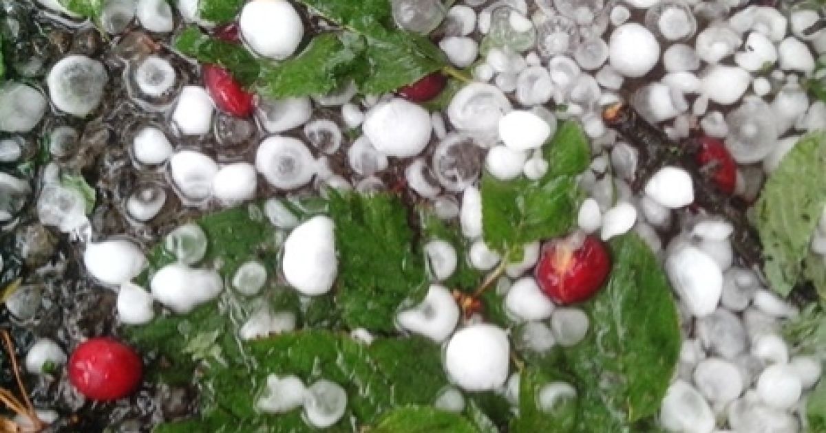 Івано-Франківськ засипав крупний град / © vk.com/typical_if