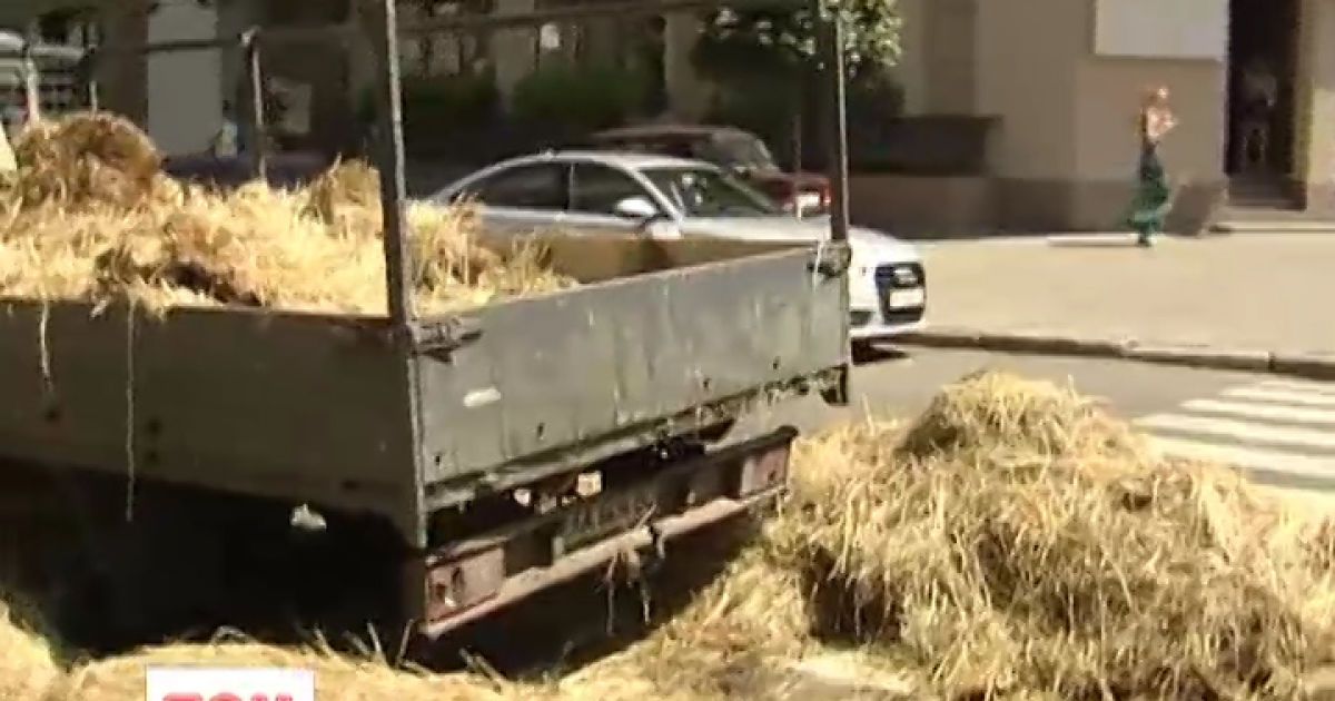 Столичний Поділ засипало сіном