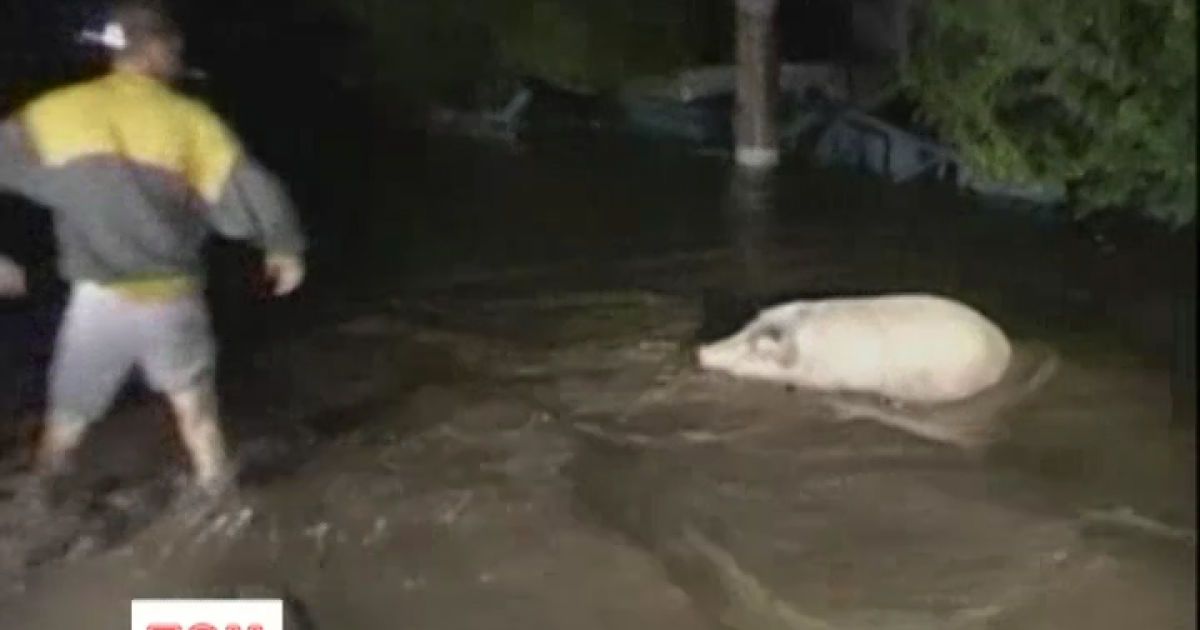 Румунію накрила велика вода