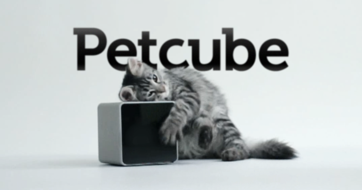 Petcube розважатиме тварин