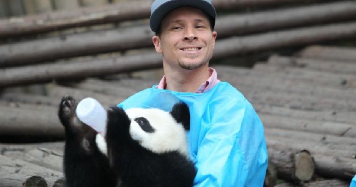 Backstreet Boys нагодували панд / © 5thelementexpeditions.com