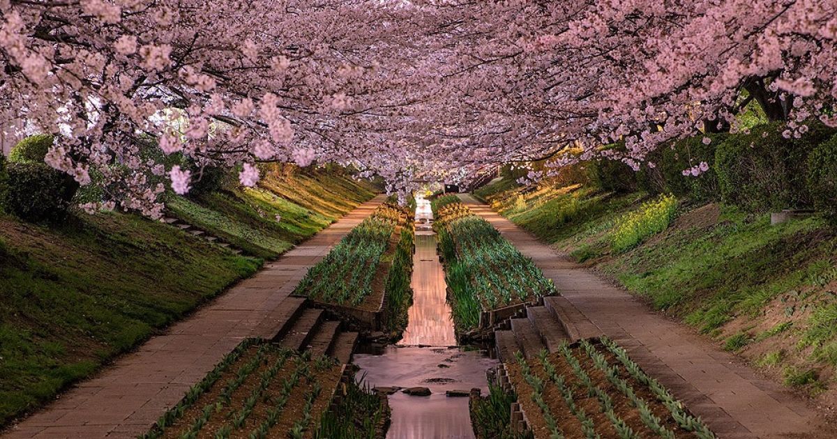 Найкращі фото першої половини 2013 року / © bigpicture.ru