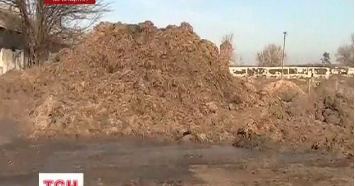 Люди не можуть нормально дихати через великі купи гною