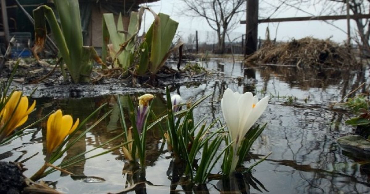У селі Підгірці вода залила вулиці і будинки / © Сегодня