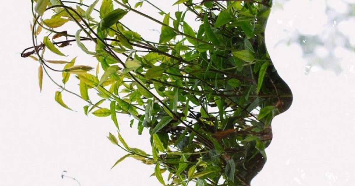 Найкращі фото першої половини 2013 року / © bigpicture.ru