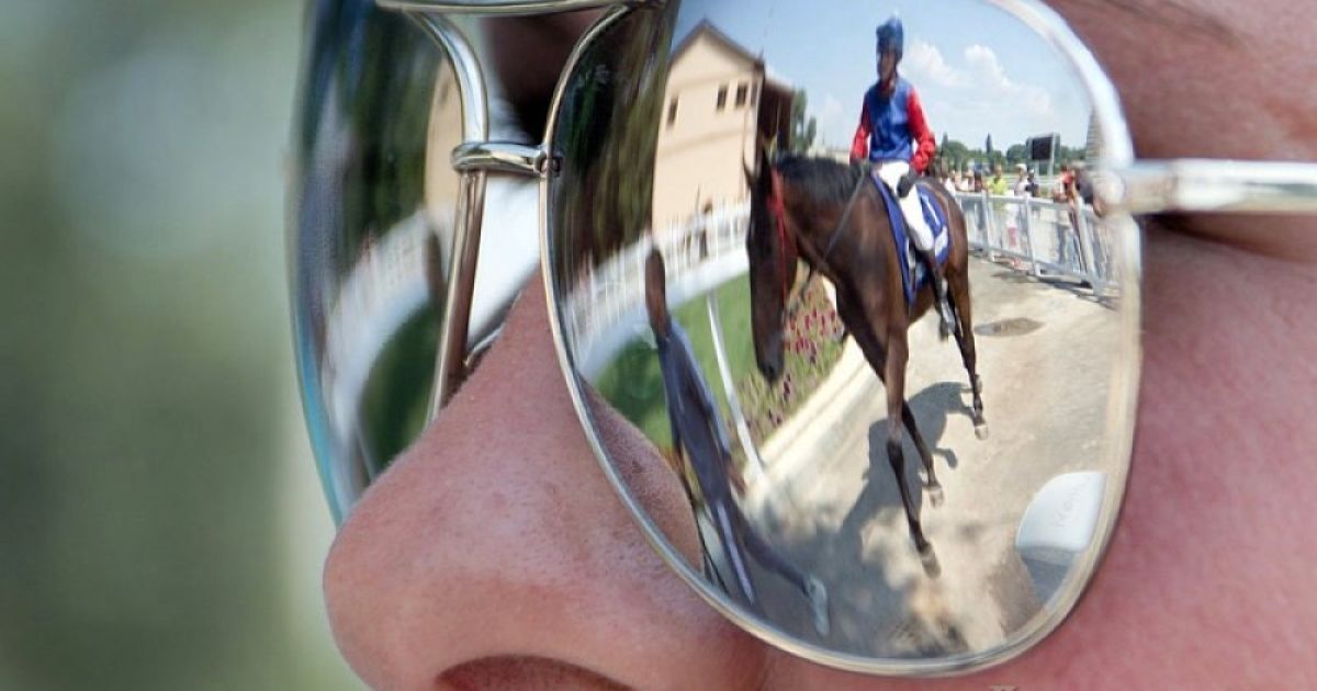 Одеський іподром відродився після десяти років бездіяльності. / © Думская.net