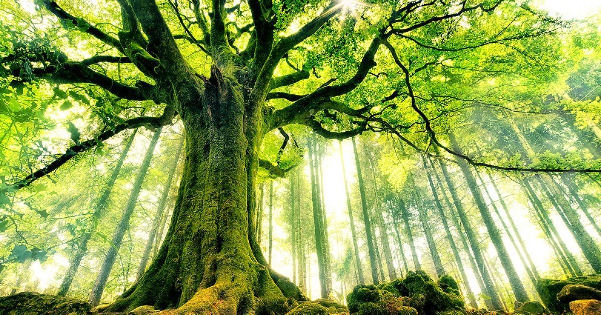 Найкращі фото першої половини 2013 року / © bigpicture.ru