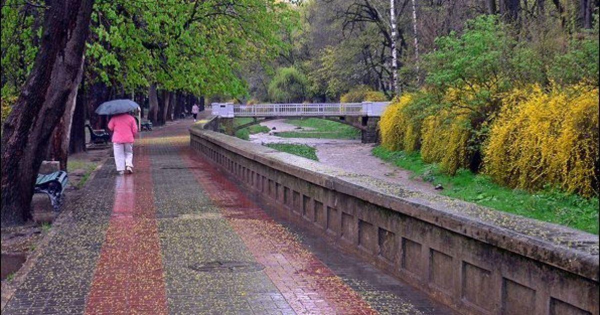 В Києві короткочасний дощ та гроза.