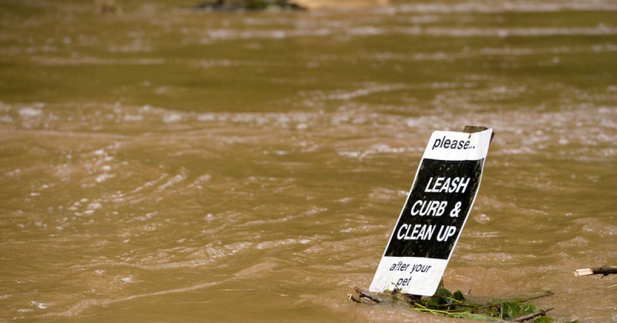 Повінь у Грузії