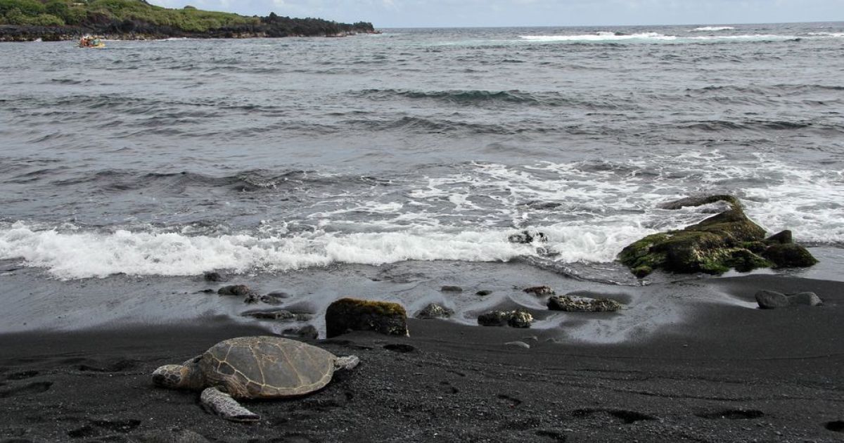 Пляж Вік, Ісландія