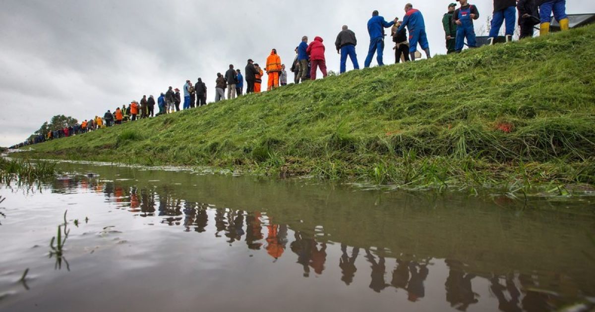 Європа потерпає від повеней / © Фото EPA/UPG