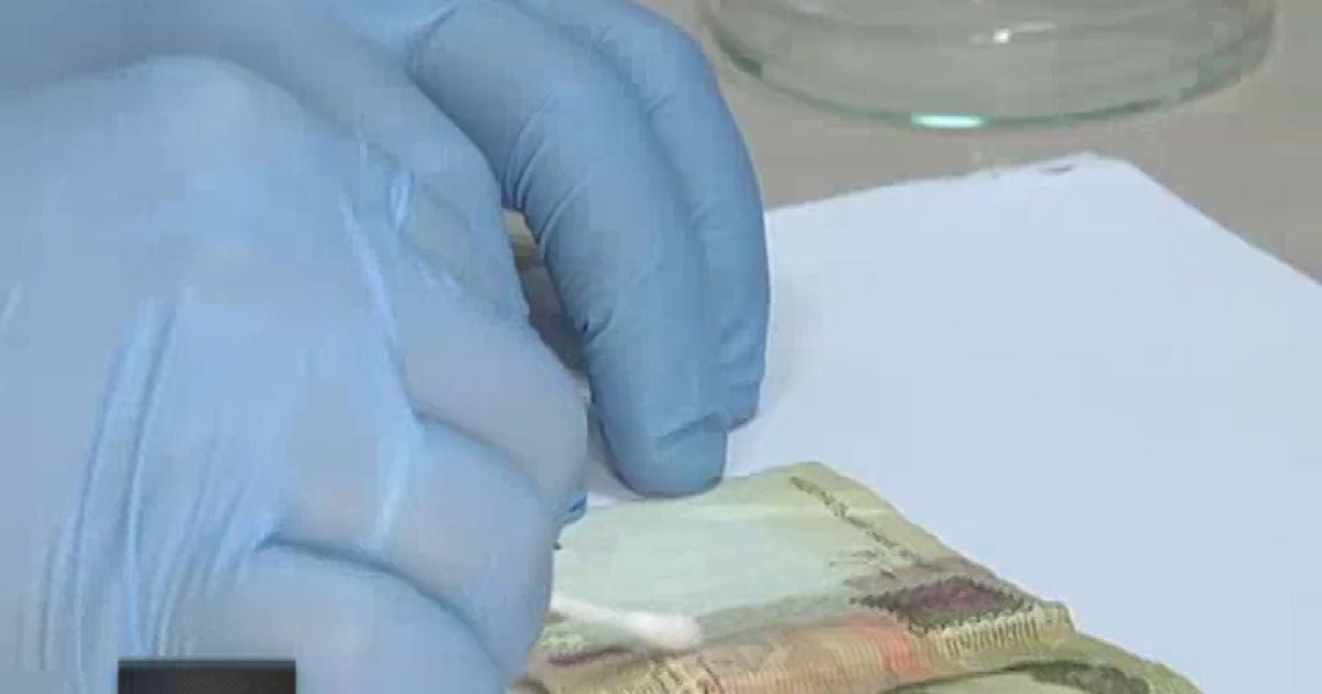 На грошах живе не один вид шкідливих бактерій