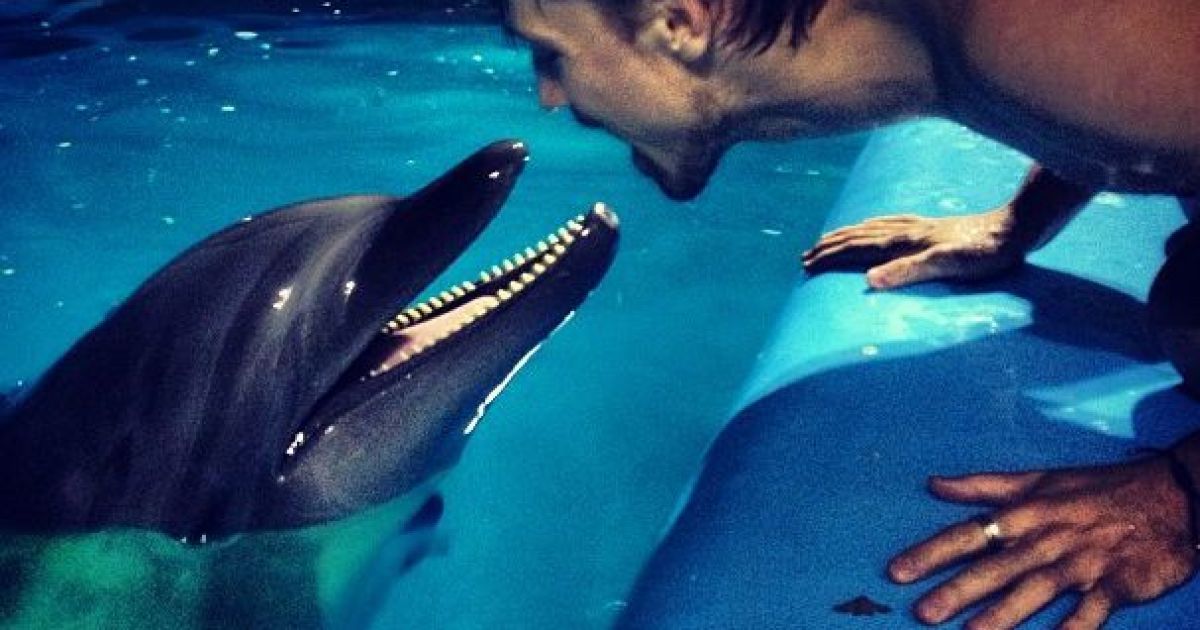 Білан познайомився з Мідорі та Тохою