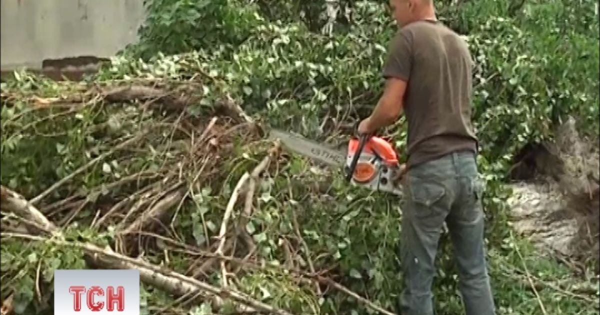 Вітер був такої сили, що дерева виривало з корінням