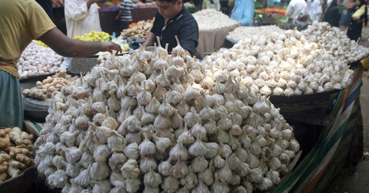 Часник вдвічі зменшує ризик захворювання на рак легень.