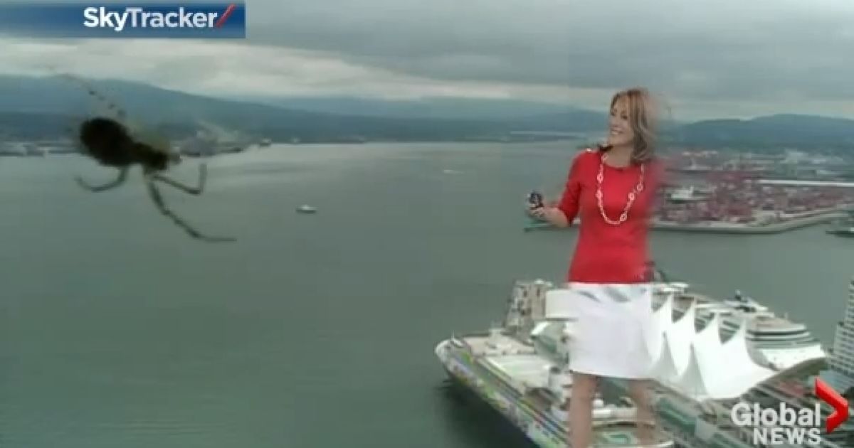 Павук, що заліз в об&rsquo;єктив камери, дуже налякав жінку. Скріншот з відео