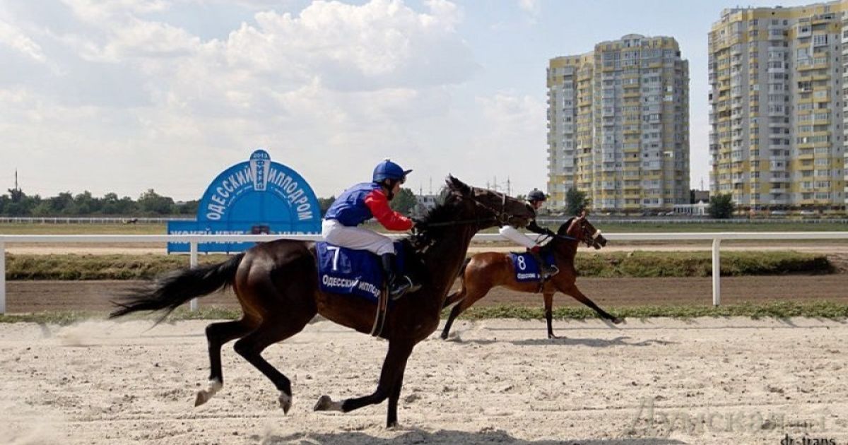 Одеський іподром відродився після десяти років бездіяльності. / © Думская.net