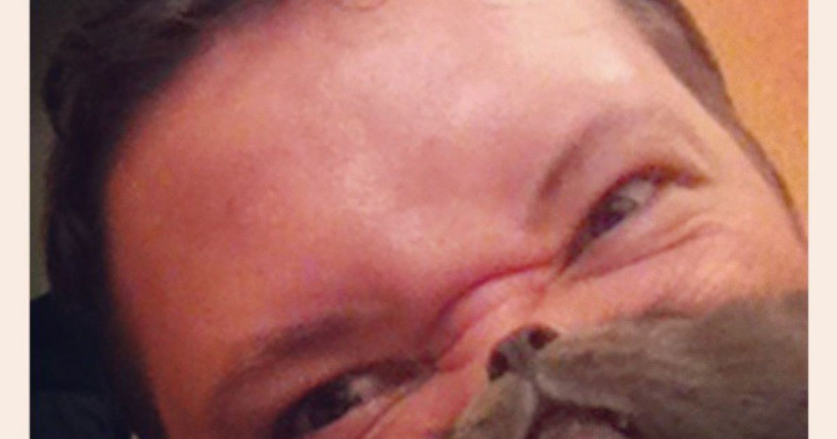 Котобороди - нове віяння в інтернеті / © Instagram